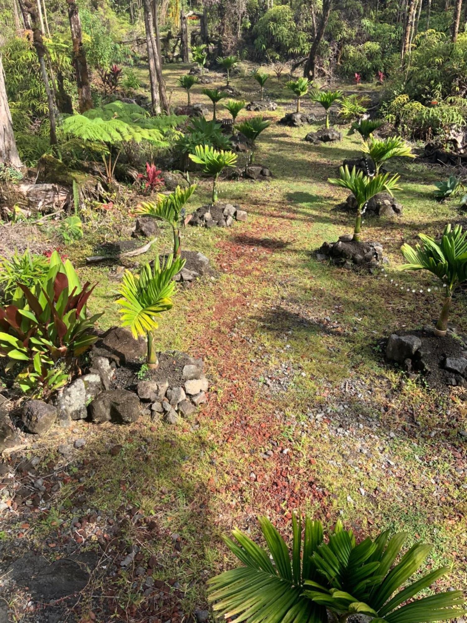 Exotic Garden Cottage At Amazing Volcano Fissure Mountain View Kültér fotó