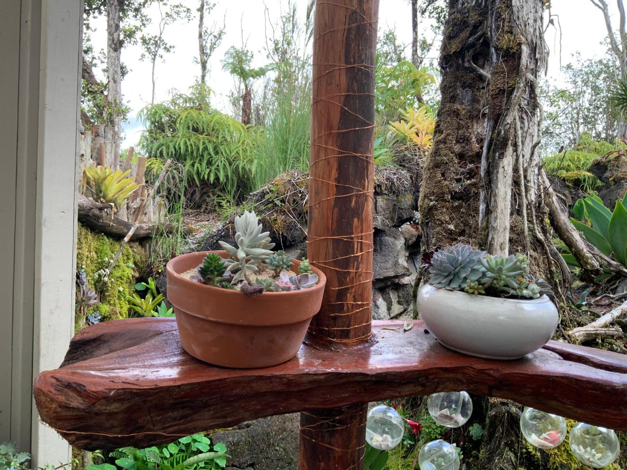 Exotic Garden Cottage At Amazing Volcano Fissure Mountain View Kültér fotó