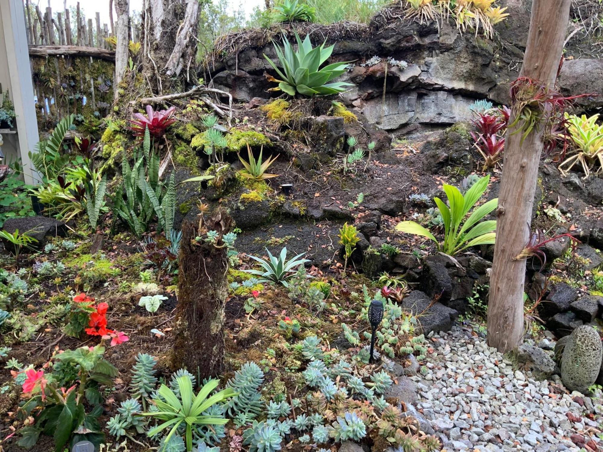 Exotic Garden Cottage At Amazing Volcano Fissure Mountain View Kültér fotó