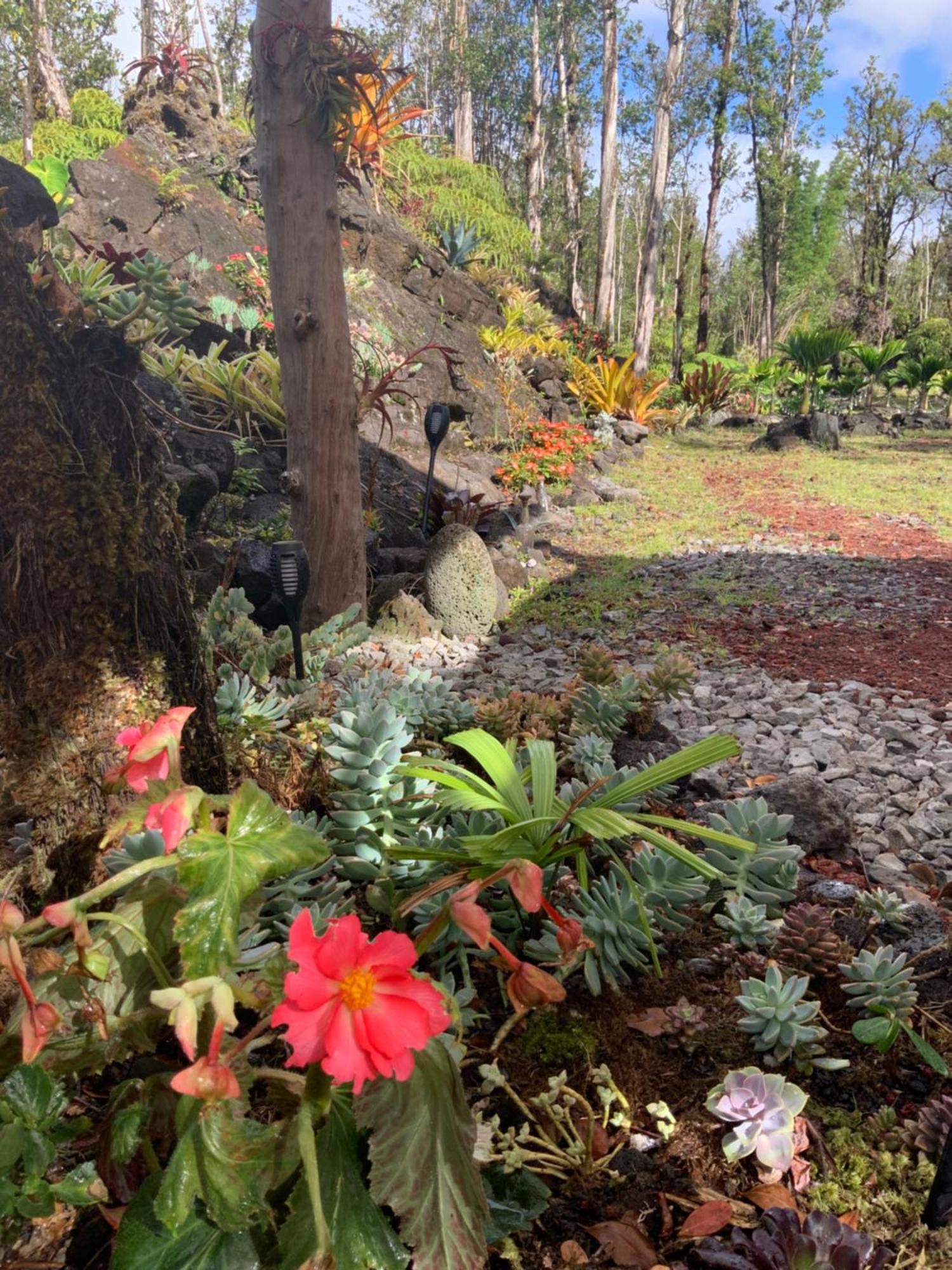 Exotic Garden Cottage At Amazing Volcano Fissure Mountain View Kültér fotó