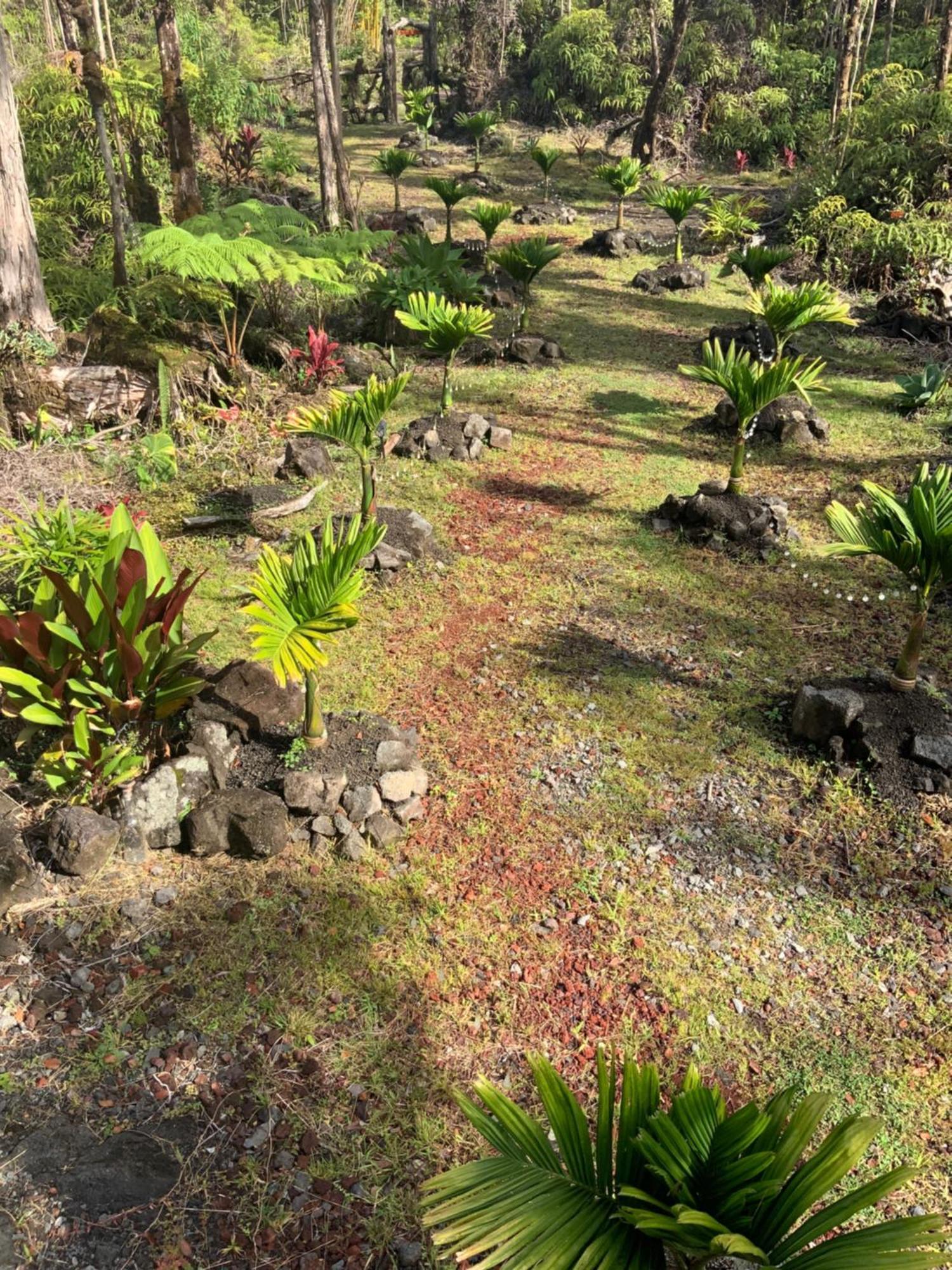 Exotic Garden Cottage At Amazing Volcano Fissure Mountain View Kültér fotó