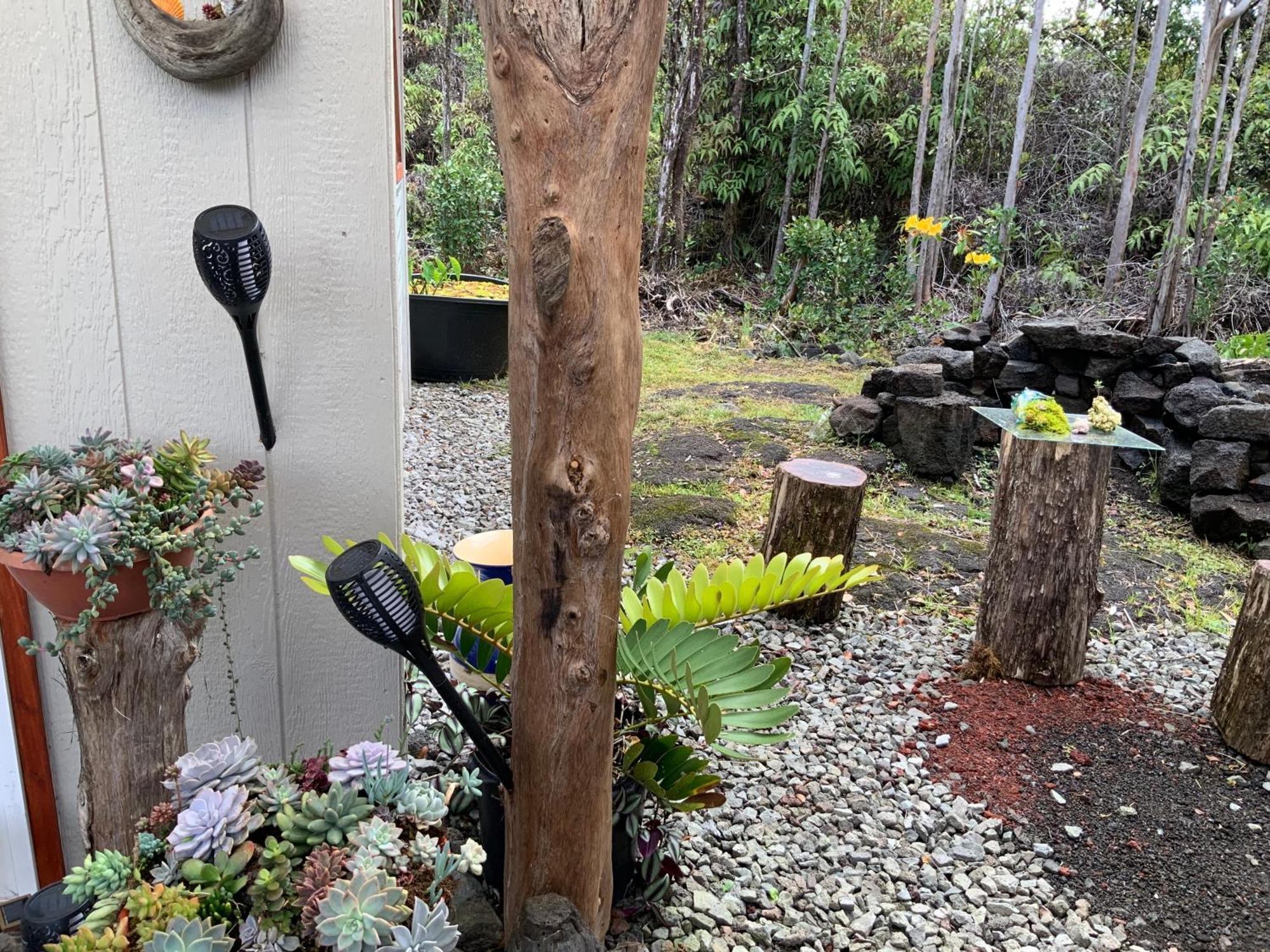 Exotic Garden Cottage At Amazing Volcano Fissure Mountain View Kültér fotó