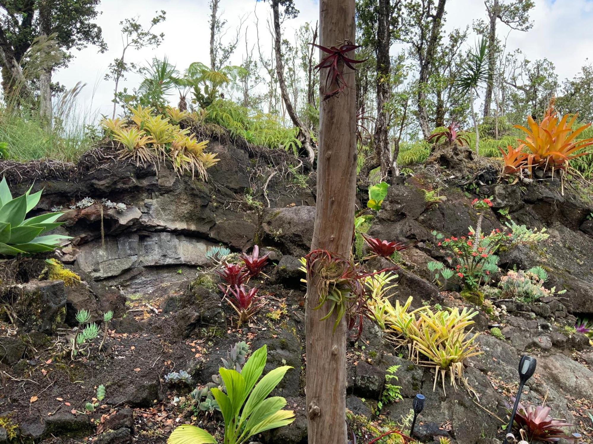 Exotic Garden Cottage At Amazing Volcano Fissure Mountain View Kültér fotó