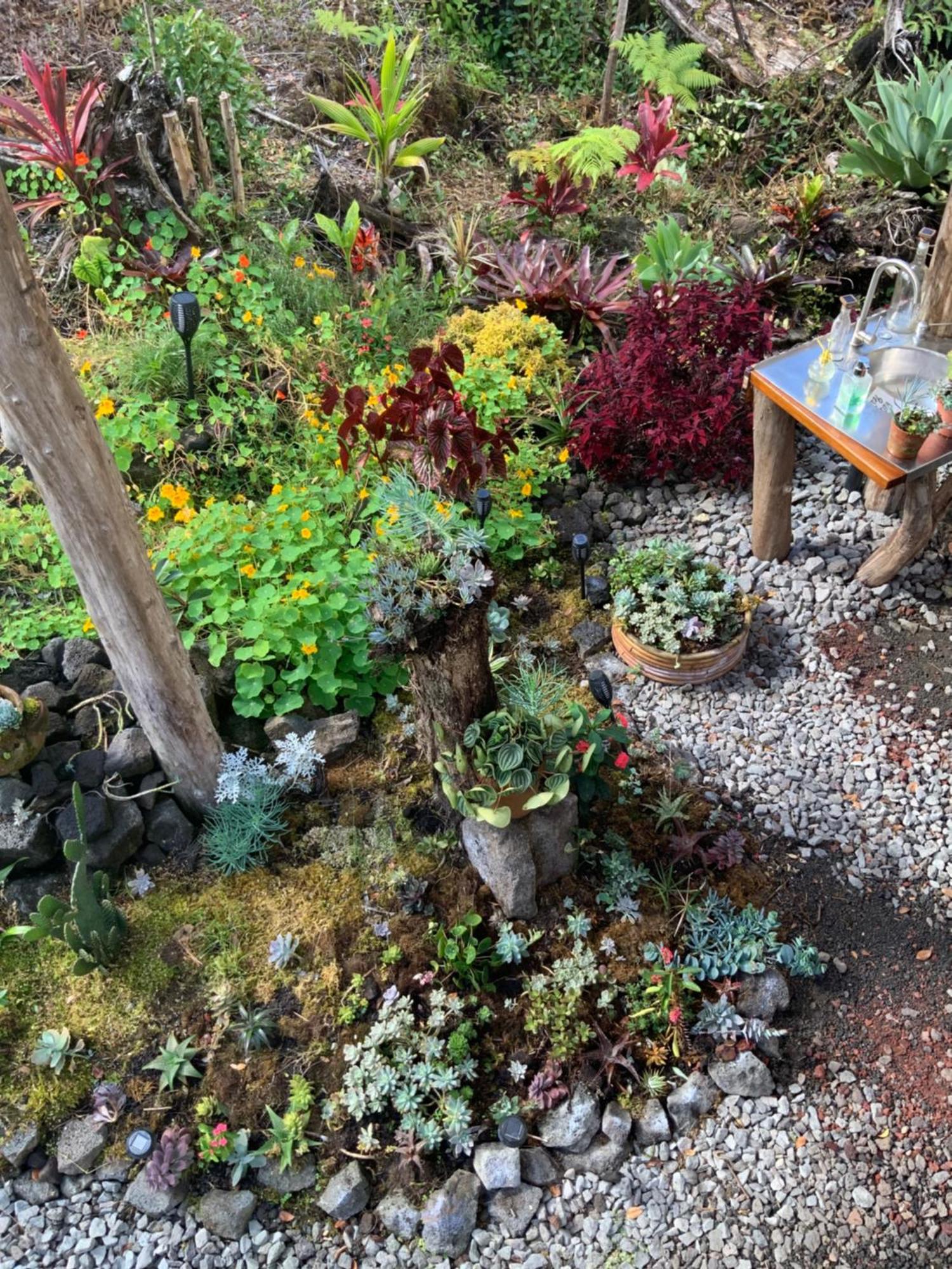 Exotic Garden Cottage At Amazing Volcano Fissure Mountain View Kültér fotó