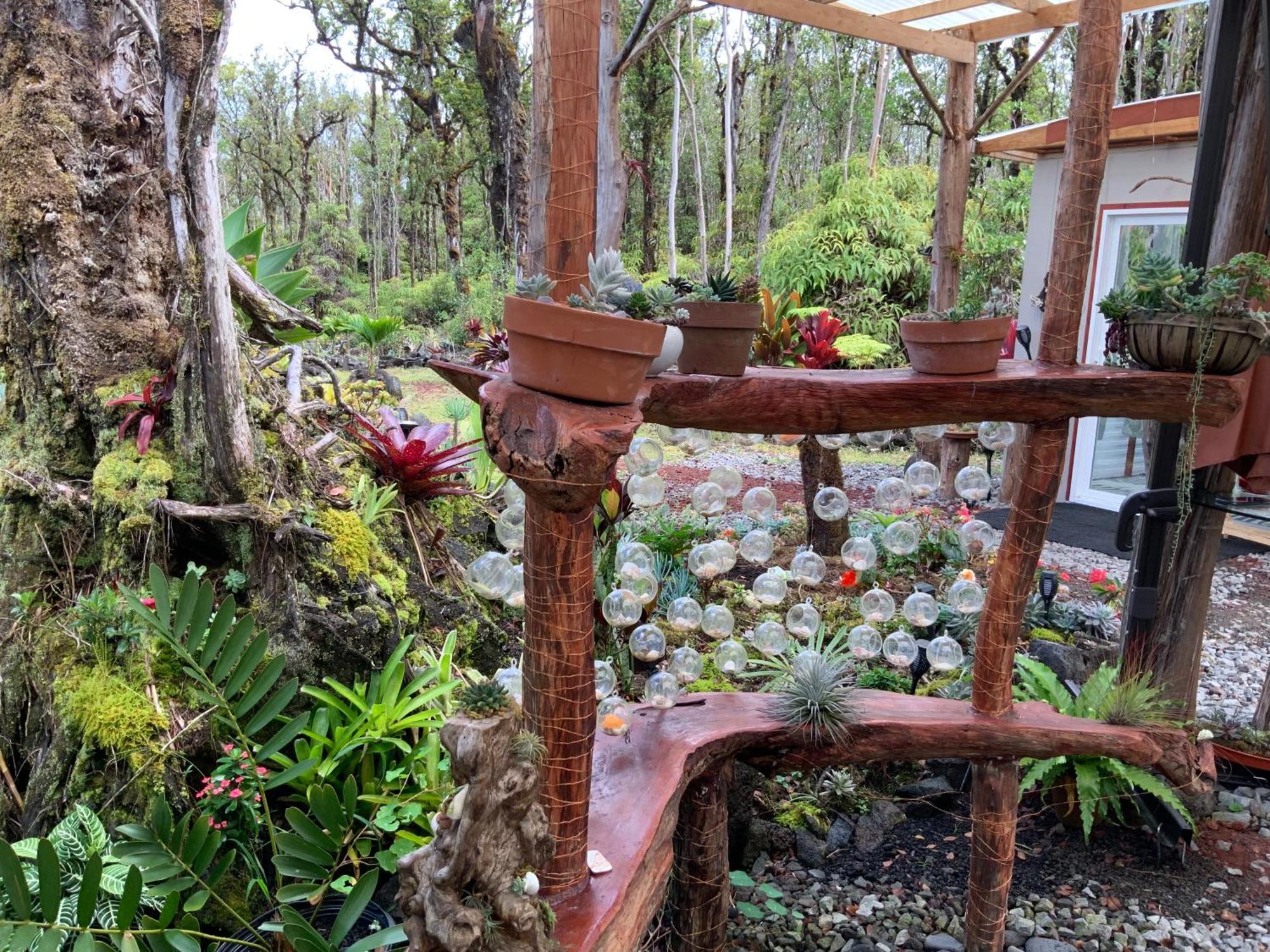 Exotic Garden Cottage At Amazing Volcano Fissure Mountain View Kültér fotó