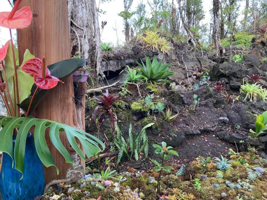 Exotic Garden Cottage At Amazing Volcano Fissure Mountain View Kültér fotó