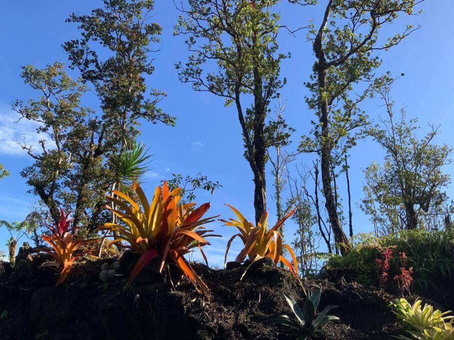Exotic Garden Cottage At Amazing Volcano Fissure Mountain View Kültér fotó