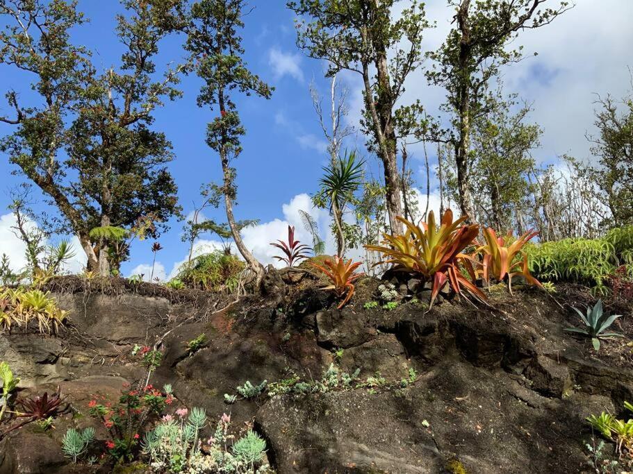 Exotic Garden Cottage At Amazing Volcano Fissure Mountain View Kültér fotó