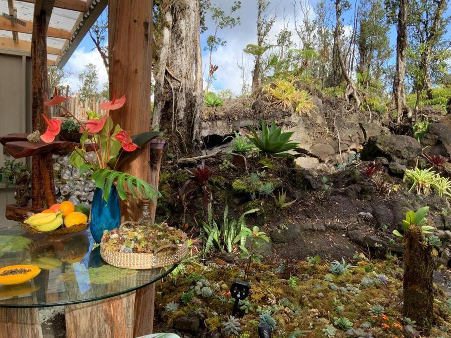 Exotic Garden Cottage At Amazing Volcano Fissure Mountain View Kültér fotó